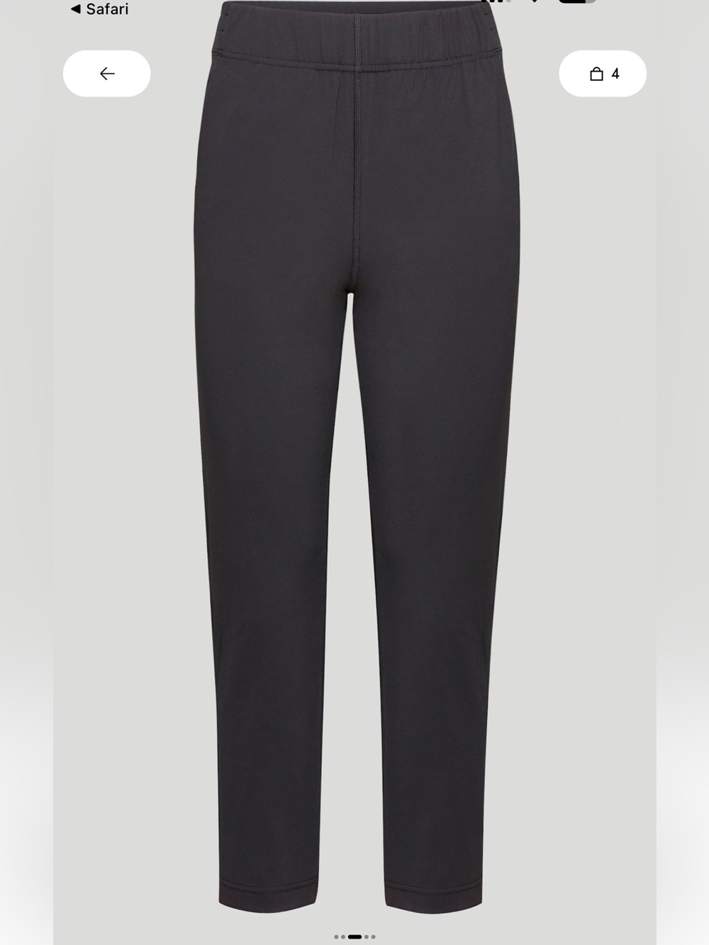 BN The Group by Babaton WEEKENDER Pant